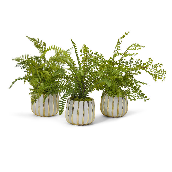 T&C Floral Company 3 Piece Artificial Fern Plant in Vase Set